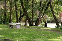 Killikus&reg; Fotographie